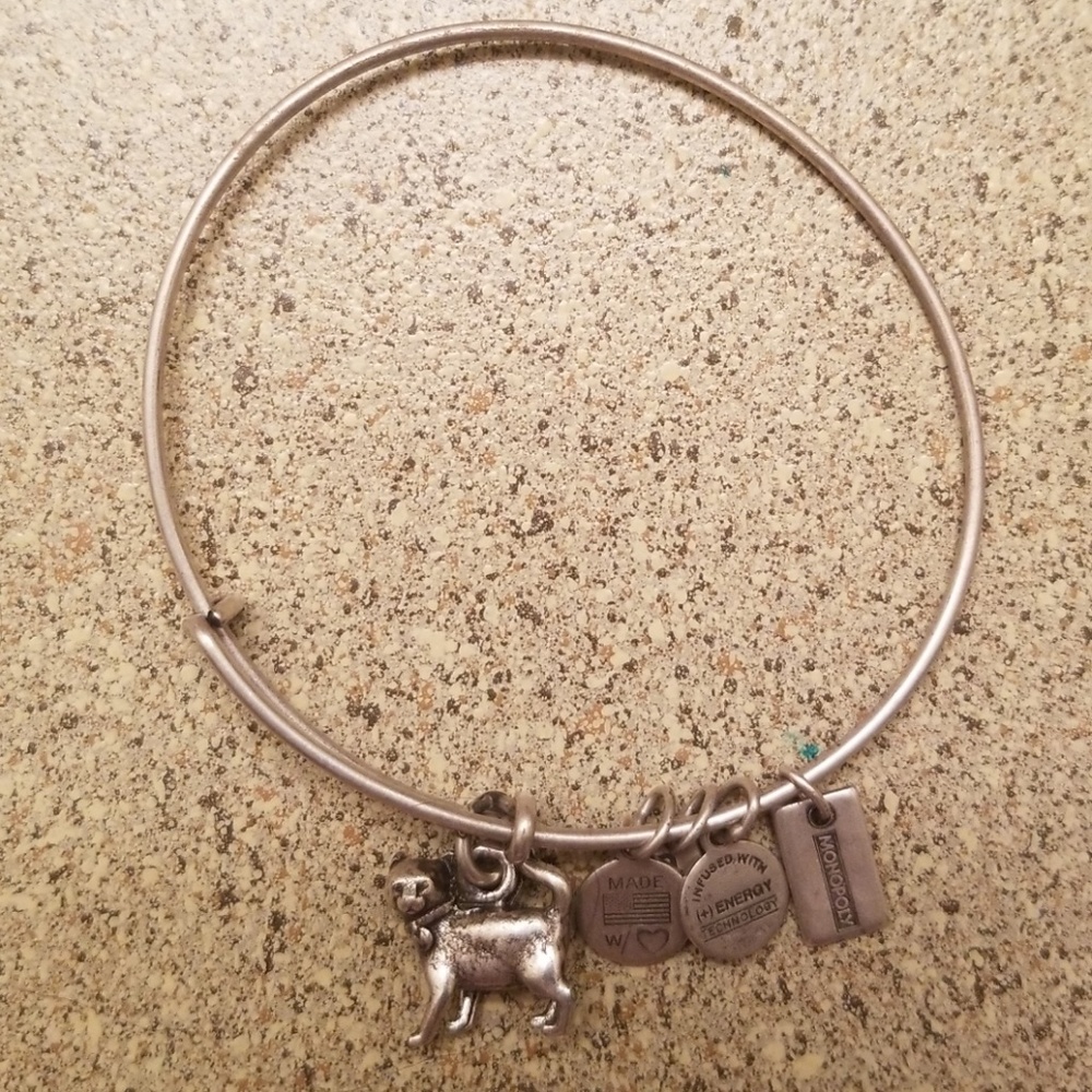 Alex and Ani Monopoly Cat Bracelet